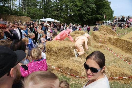 SE BILLEDERNE: Grisel�b uden rigtige grise