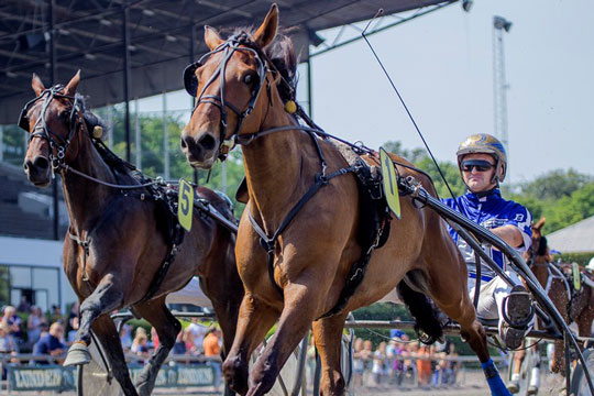 Bornholmer springer til travl�b i 11. time