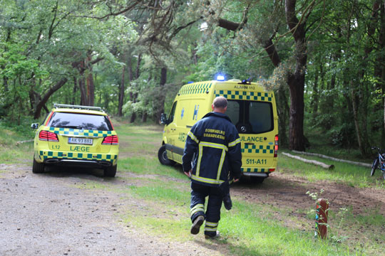 12-�rig pige smidt af hest i Nordskoven