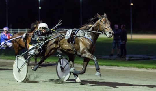 Kun et afbud til travbanen i morgen