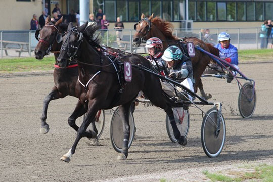 Hest fra K�benhavn til mesterskabsl�b p� Bornholm