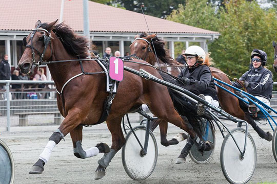 Hest udg�et til hurtigklassens l�b i morgen