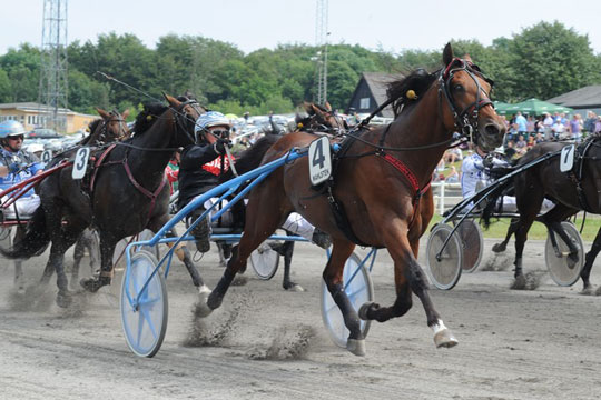 Sejr til delvis bornholmskejet hest