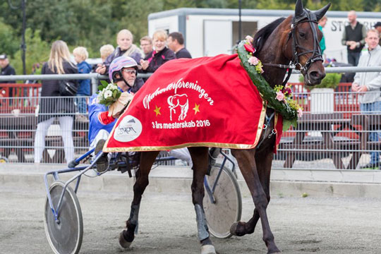 Jetset Onion er k�mpe Derby-favorit