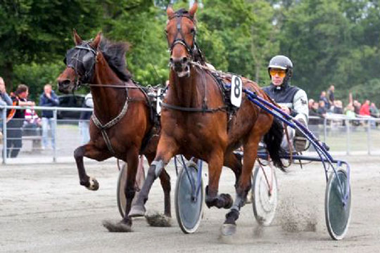 Travkusk melder fra til landshold