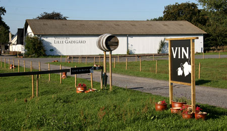 Efterforsker sag om bedrageri