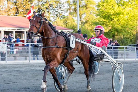 Mesterskabskandidat ude resten af s�sonen