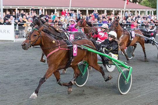 Ung kvinde forst�rker sig til championatskamp