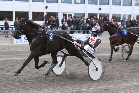 Bornholmere repr�senteret i favoritterne i storl�b