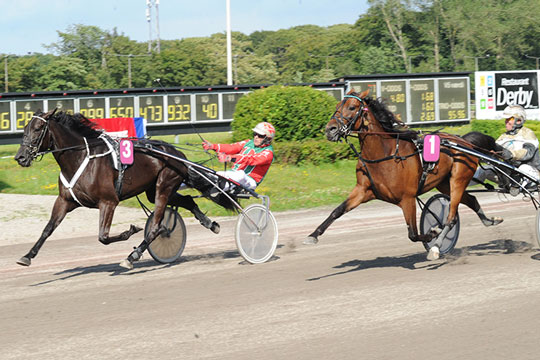 Herlig bornholmerdag i Aarhus