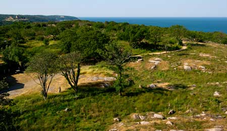 Hammeren gav julis f�rste sommerdag