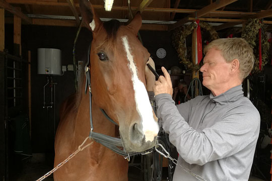 Kostbar travhest hentet hjem til Bornholm