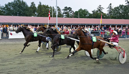 S� starter andet halv�r p� travbanen