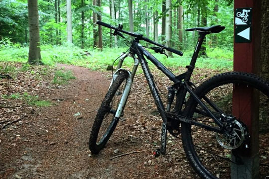 Naturstyrelsen griber ind mod ulovlig cykling