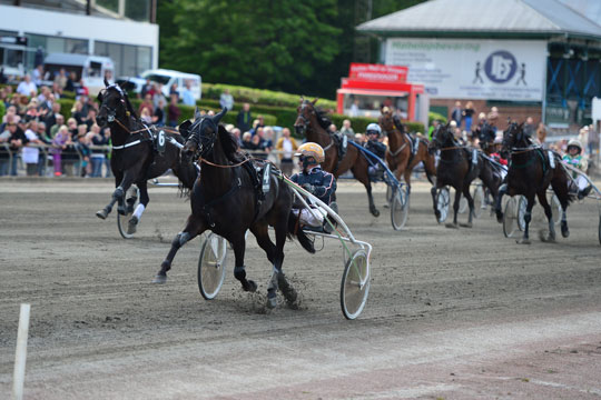 To heste med borholmske interesser i derbyet