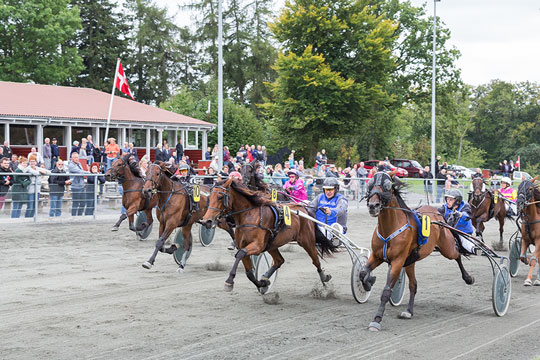 Udvidet TV-d�kning p� travbanens mesterskabsdag