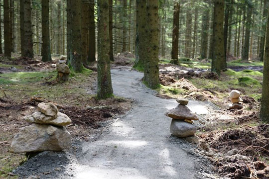 Nyt b�rnevenligt mountainbikespor