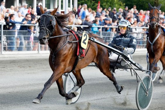Rene Kj�r har hest klar til Bornholmsmesterskabet