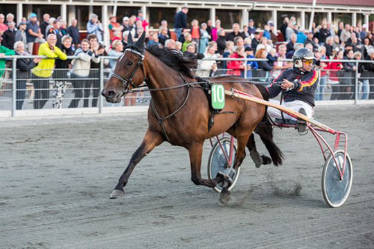 Stefan Lind-Holms frygt holdt stik