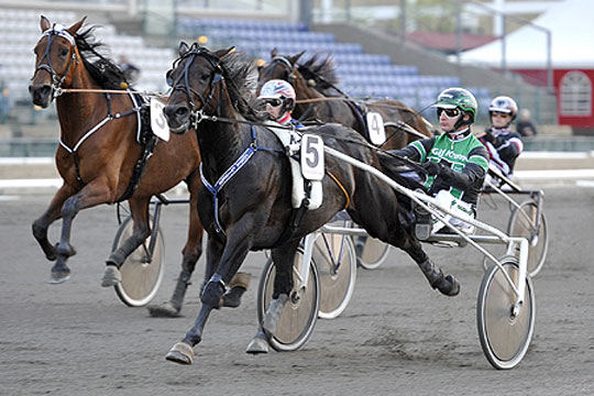 Kanontriumf for bornholmsk travsport i aften