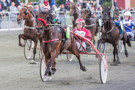 Gommans skuffet over manglende BM-mulighed