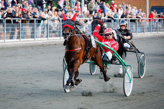 Presley vandt testl�bet forud for BM