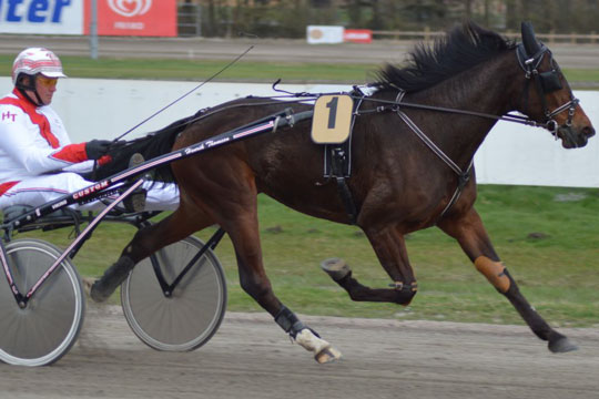 Travkuske tilbydes k�reture i mesterskabsl�b