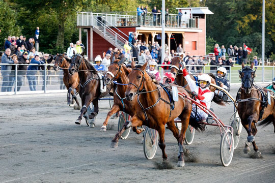 Artige overraskelser gav stor udbetaling i V5-spillet