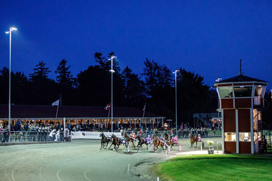 Tre rutinerede travkuske idømt karantæne
