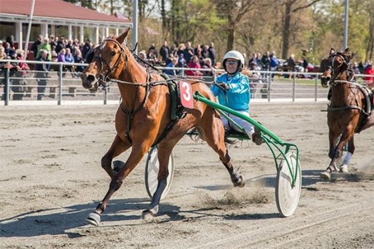 To sletninger til �rets sidste aftentrav