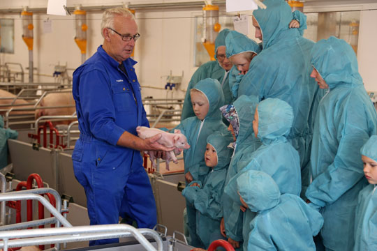 Over 1.000 bes�gte svineproducent