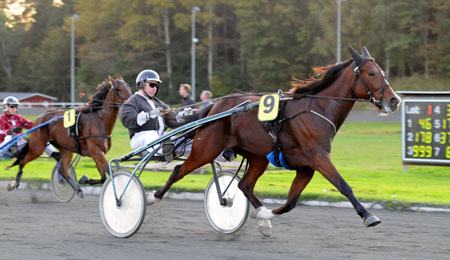 Tre firmaer sponserer mesterskab