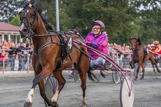 Bornholmsk hest til l�b p� Sveriges derbybane