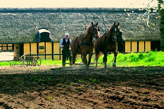 Ny bog om �ens landbrug gennem 1.000 �r