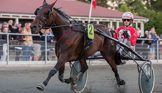 Mads Petersen til dansk mesterskab i travsport