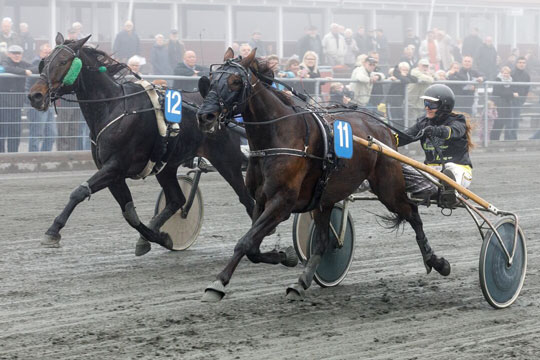 Karant�ne kan koste championat