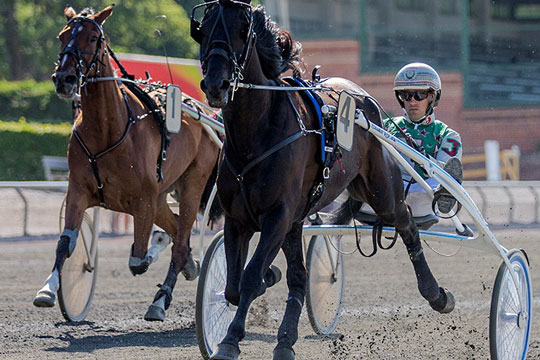 Ny hest skal hj�lpe Gommans til amat�rchampionatet