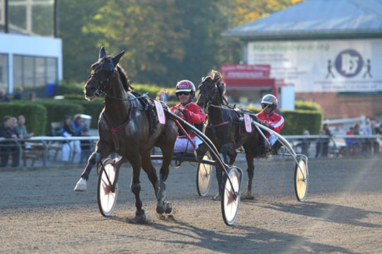 Bornholmsk jubeldag i K�benhavn