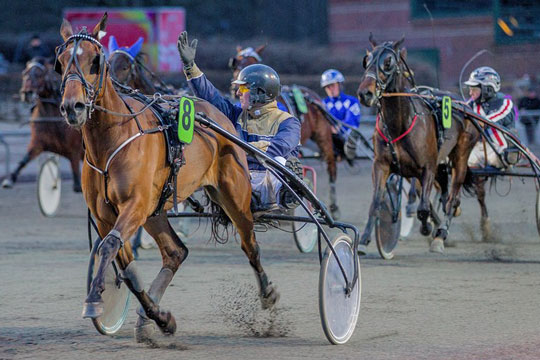 Mere bornholmsk i Lunden