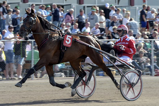 Det kan blive bornholmsk jubeldag i K�benhavn