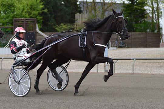 Flere bornholmere med i lodtr�kning om travpr�mie