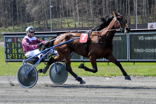 Bornholmeropdr�t til tops i Odense