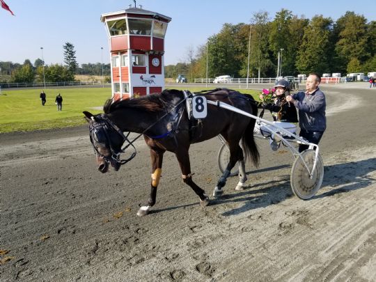 Laura Pedersen f�rende amat�rkusk