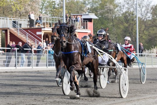 Laura har fordel af seks k�reture