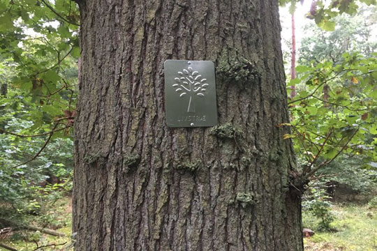 Bornholms f�rste livstr� er blevet markeret