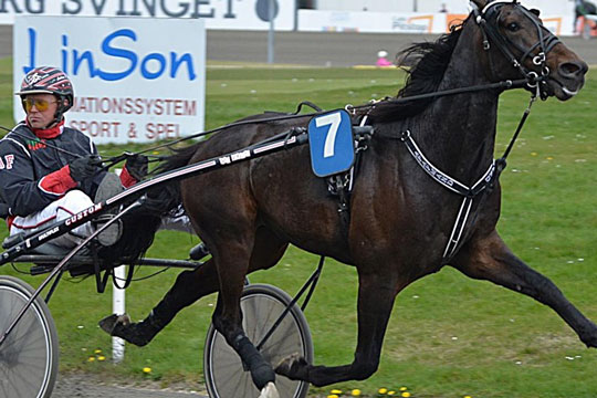 Herlig bornholmsk travs�ndag