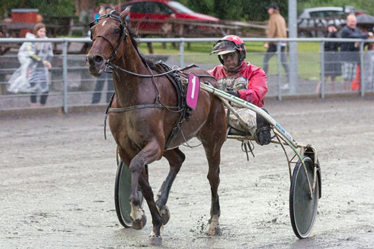 Sp�nding i amat�rkuskenes liga