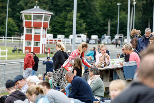 10 travdage med skandinavisk spil