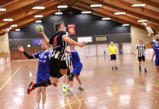 H�ndboldherrerne ser mod topkamp