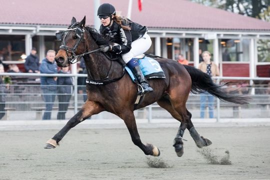 Wild Card giver s�sondebut til Therese Mikkelsen